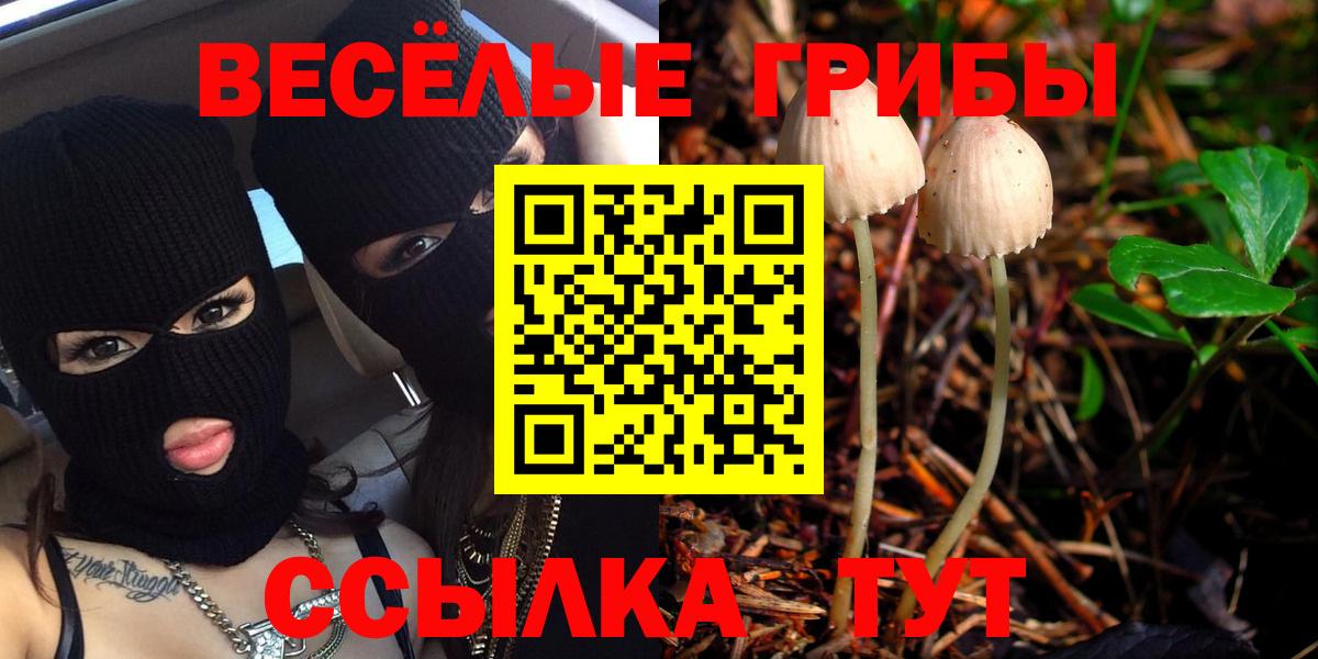 Псилоцибиновые грибы GOLDEN TEACHER Орехово-Зуево